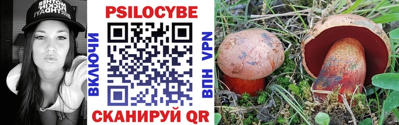 Галлюциногенные грибы GOLDEN TEACHER  купить закладку  Будённовск 