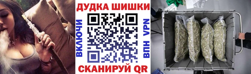 Каннабис SATIVA & INDICA Будённовск